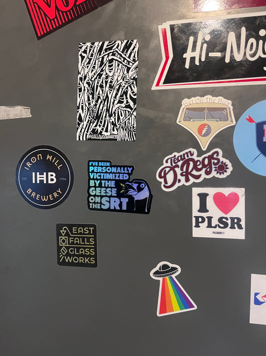 Philadelphia Schuylkill River Trail Goose Holographic Vinyl Sticker